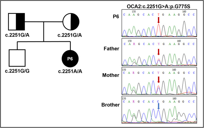 FIGURE 3