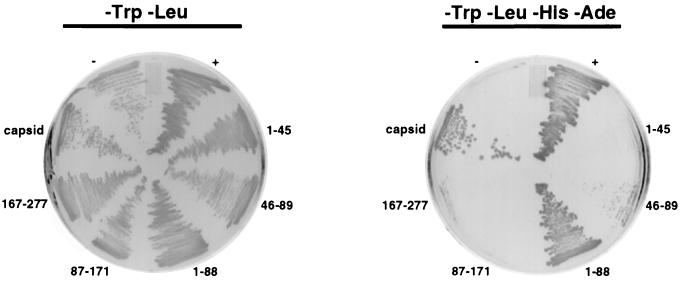 FIG. 5