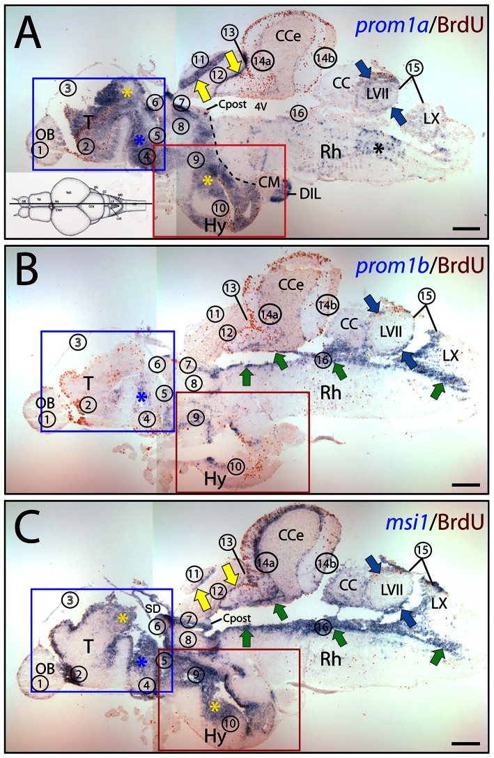 Figure 6