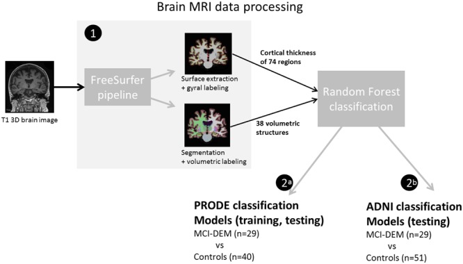 FIGURE 2