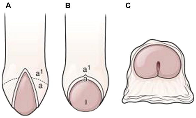 Fig. 9