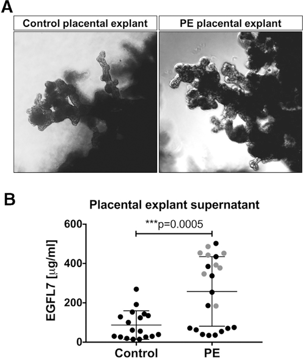 Fig 6.