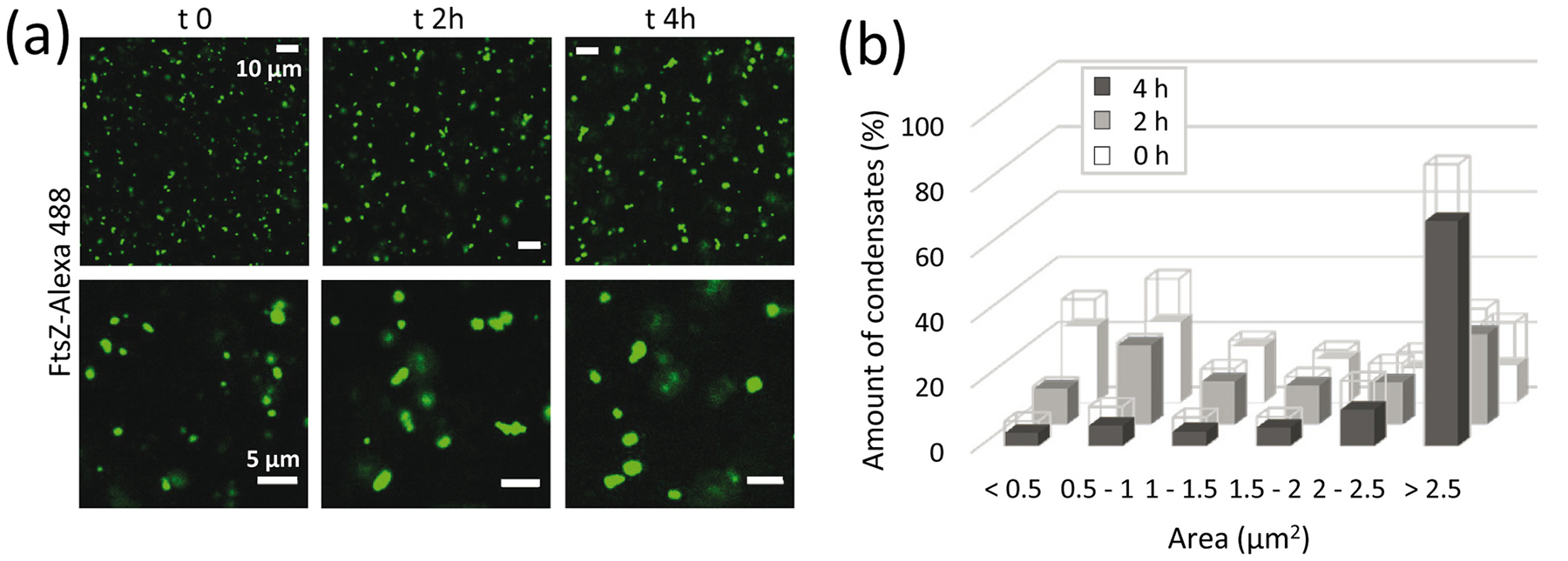 Fig. 3.