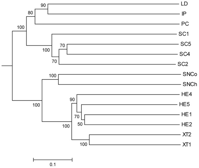 Figure 7