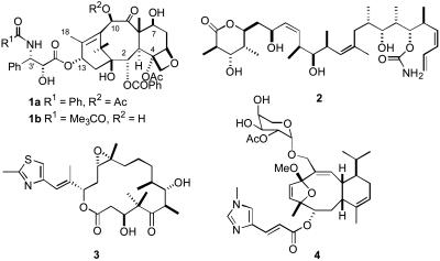 Scheme 1.