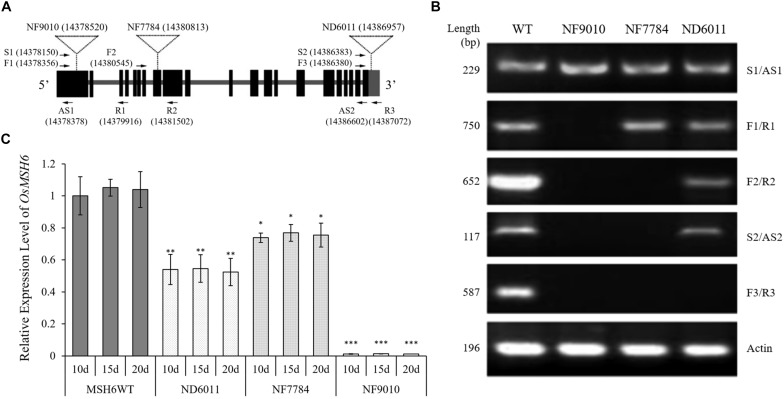 FIGURE 2