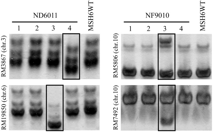 FIGURE 3