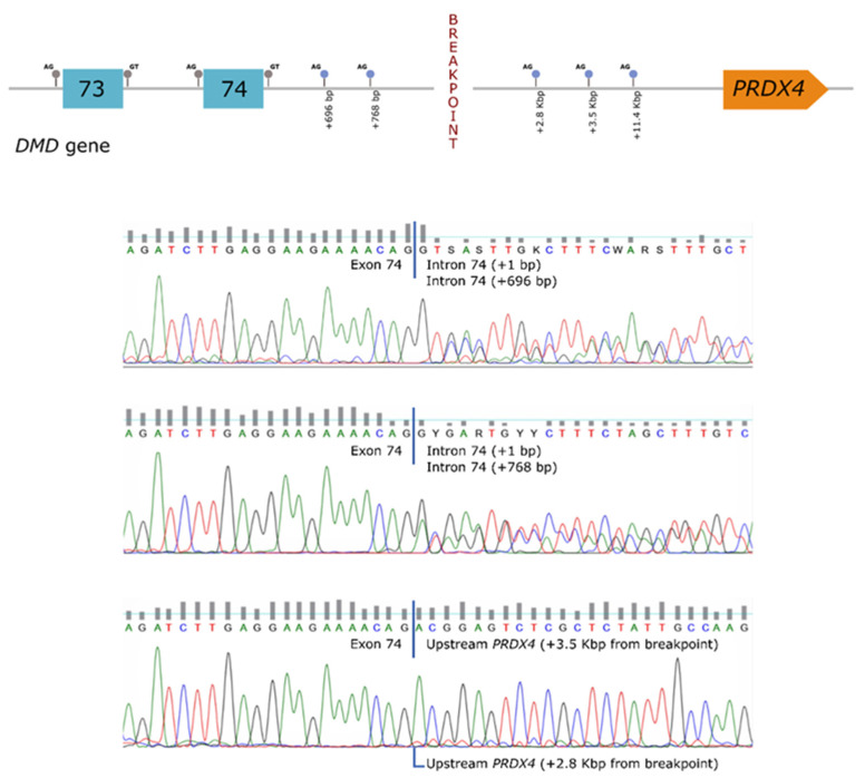 Figure 2