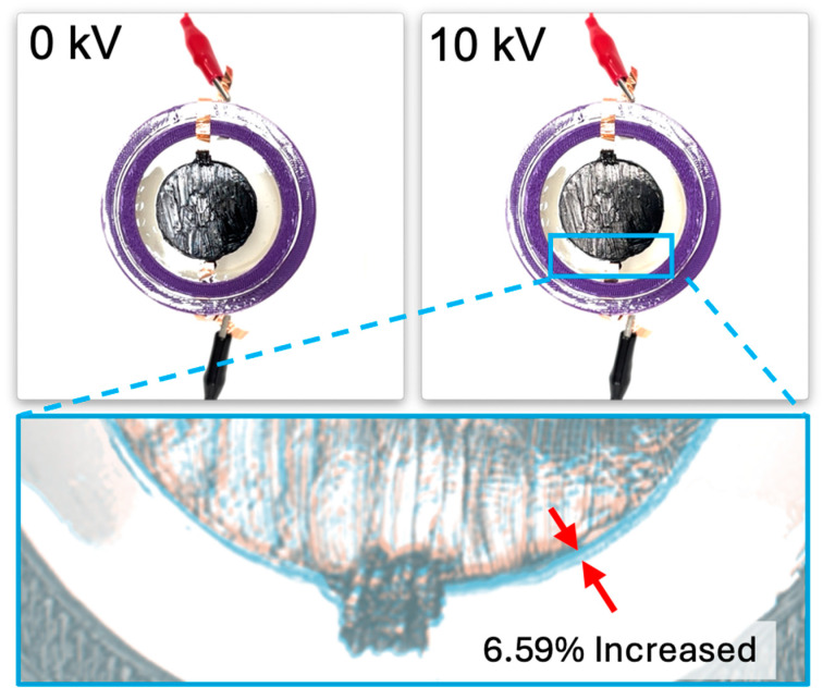 Figure 10