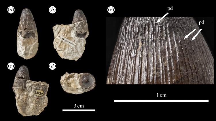 Figure 15.