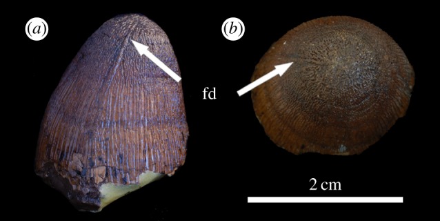 Figure 16.