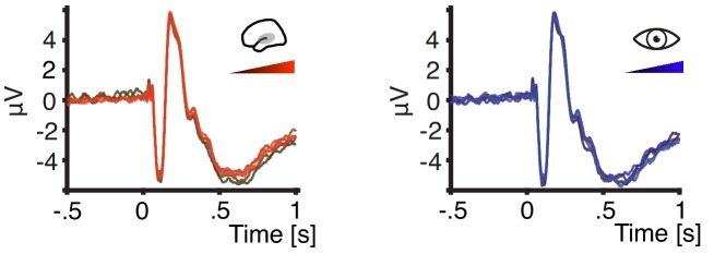 Figure 4—figure supplement 1.