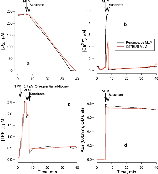 Fig. 2a–d