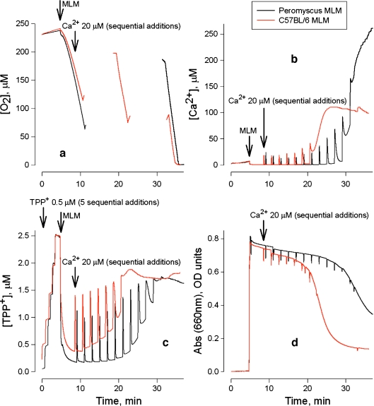 Fig. 3a–d