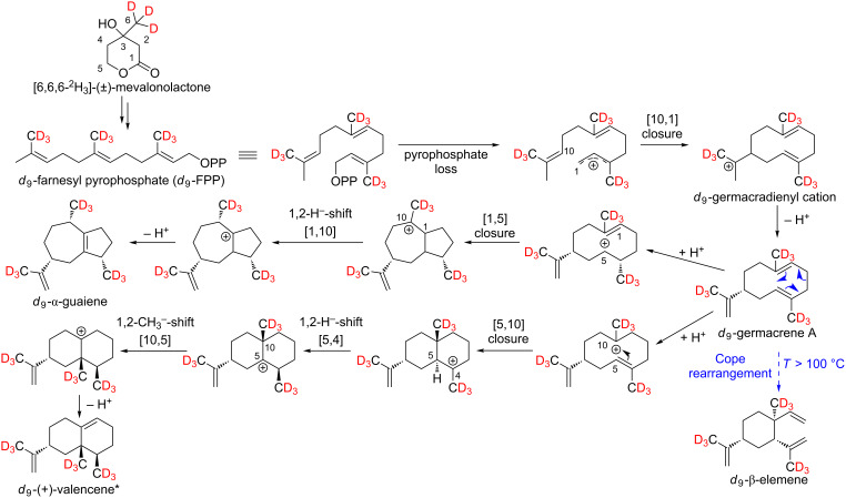 Scheme 5