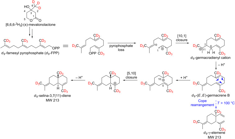 Scheme 6