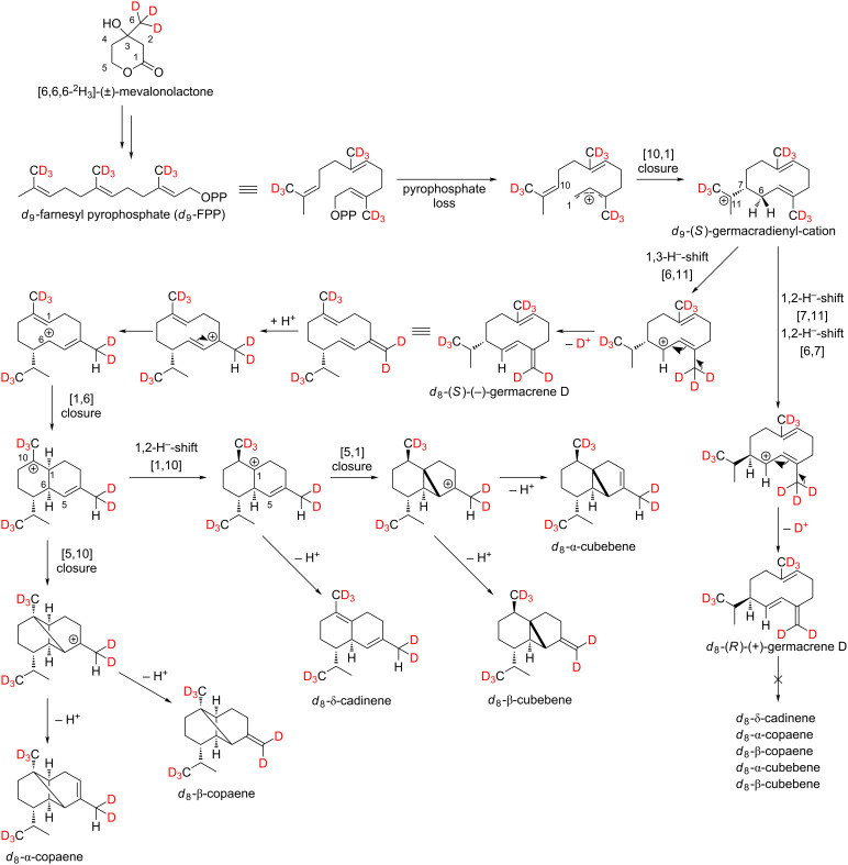 Scheme 2