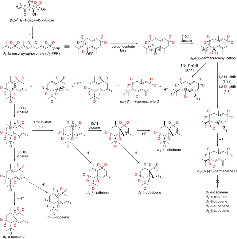 Scheme 3