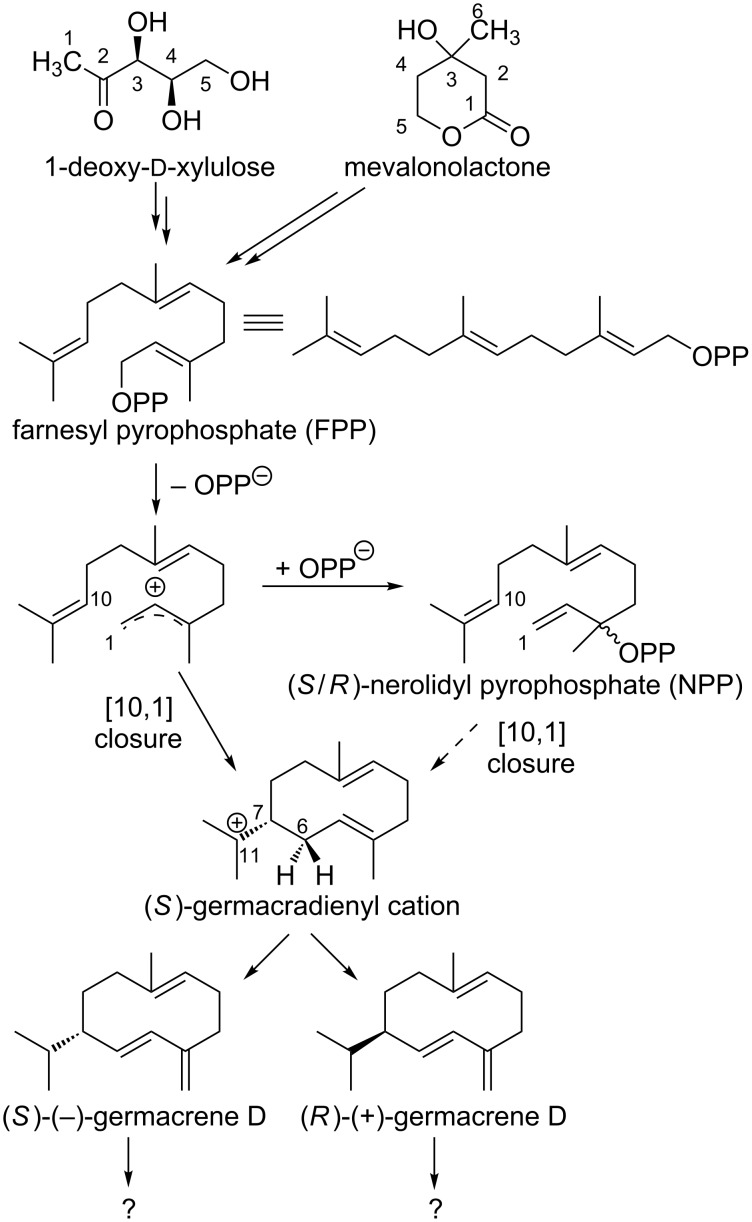 Scheme 1