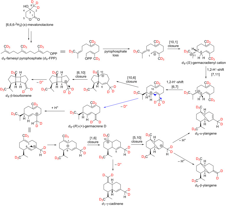 Scheme 4