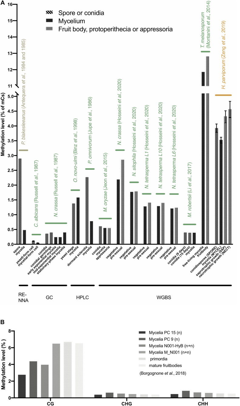 FIGURE 3