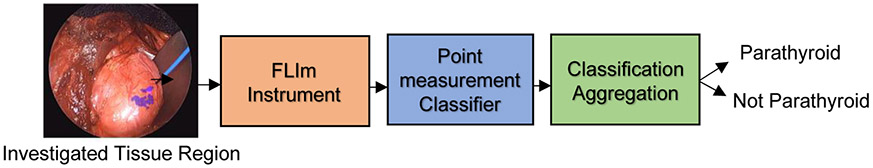 Figure 2: