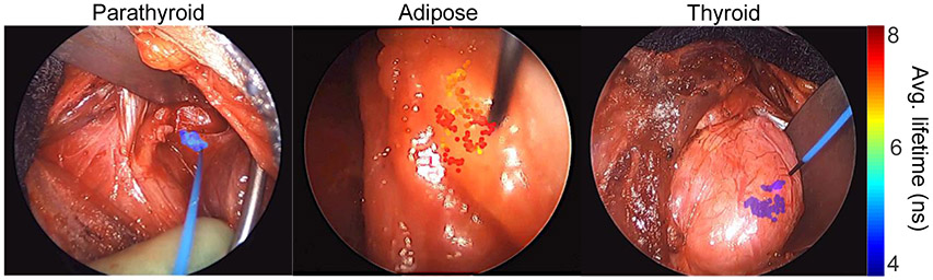 Figure 1: