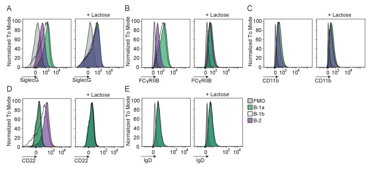 Figure 5—figure supplement 3.