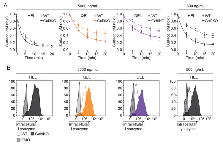 Figure 2—figure supplement 1.