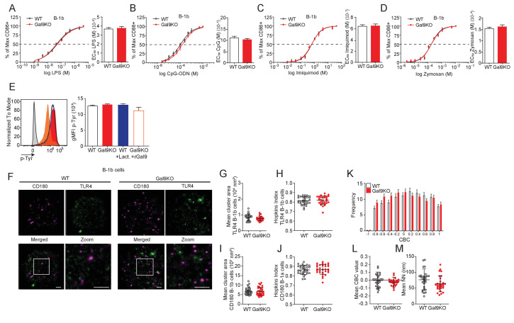 Figure 6—figure supplement 1.