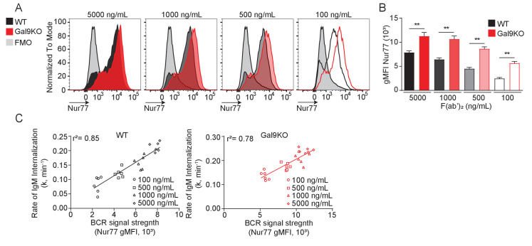 Figure 1—figure supplement 1.