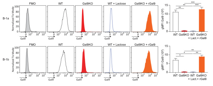 Figure 5—figure supplement 2.