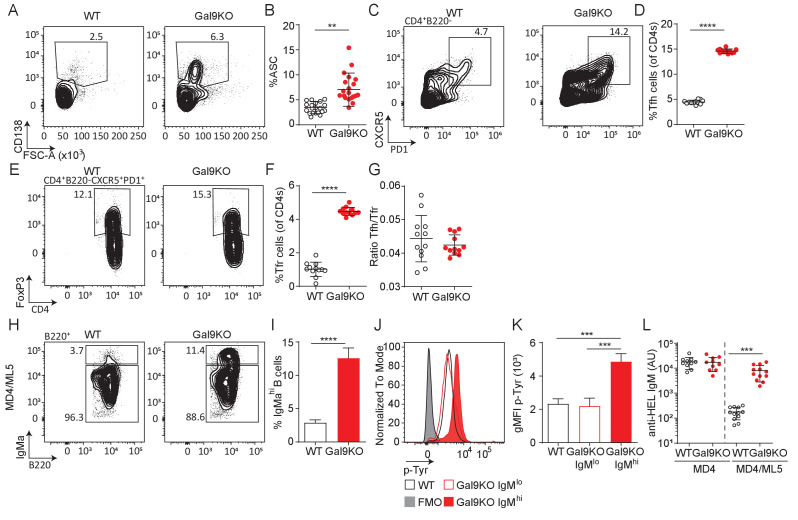 Figure 3—figure supplement 1.