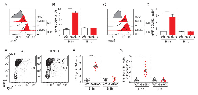 Figure 4—figure supplement 1.