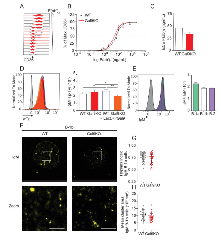 Figure 5—figure supplement 1.