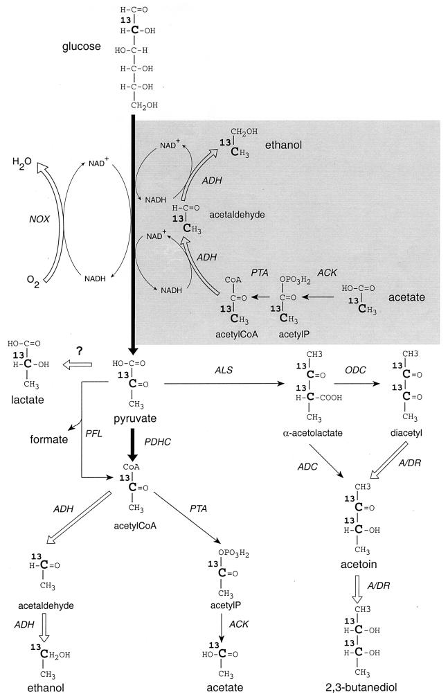 FIG. 1