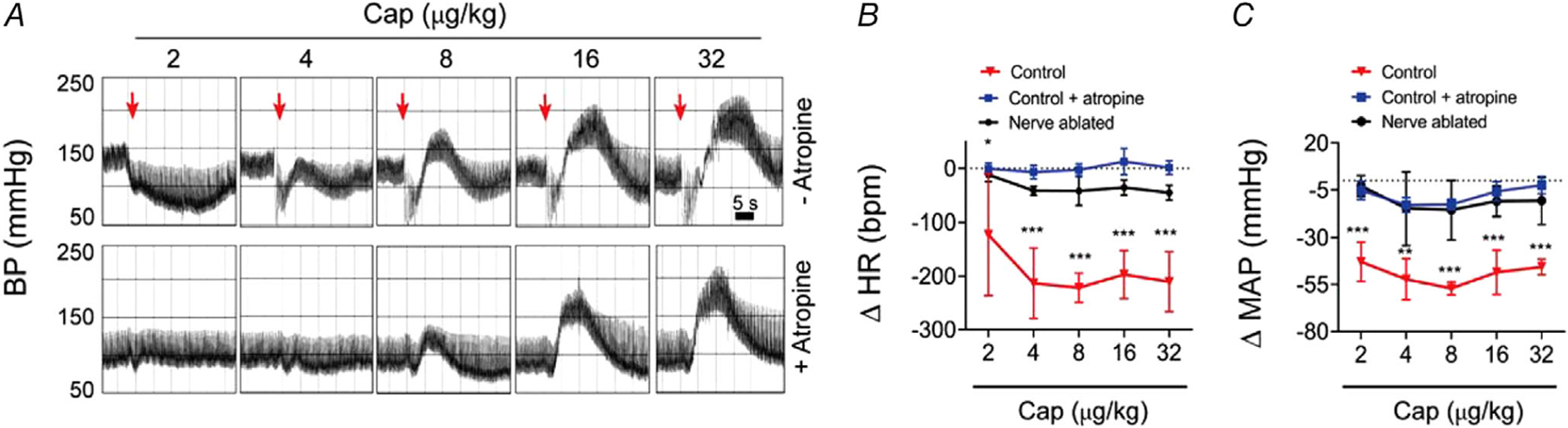 Figure 10.