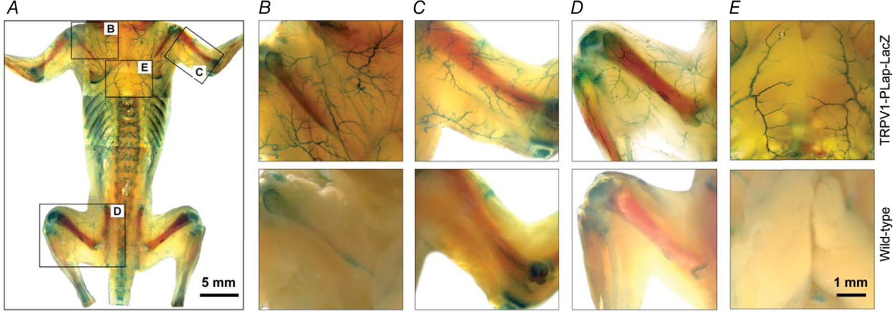 Figure 3.