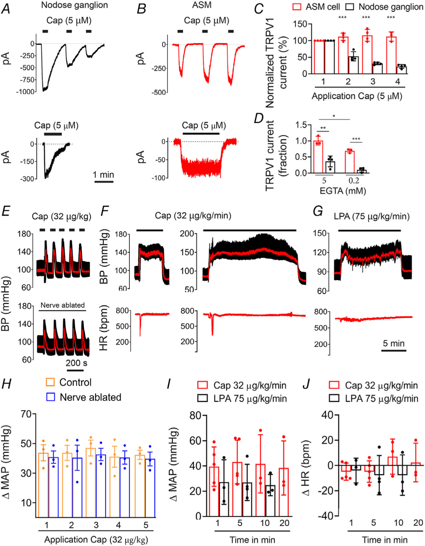 Figure 12.