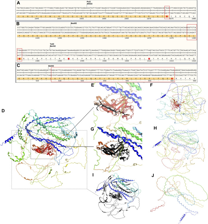 FIGURE 4