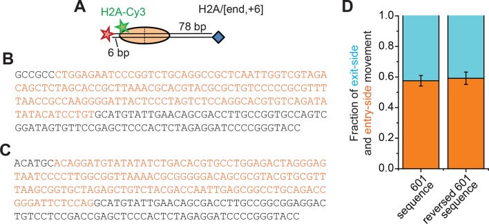 Figure 1—figure supplement 1.