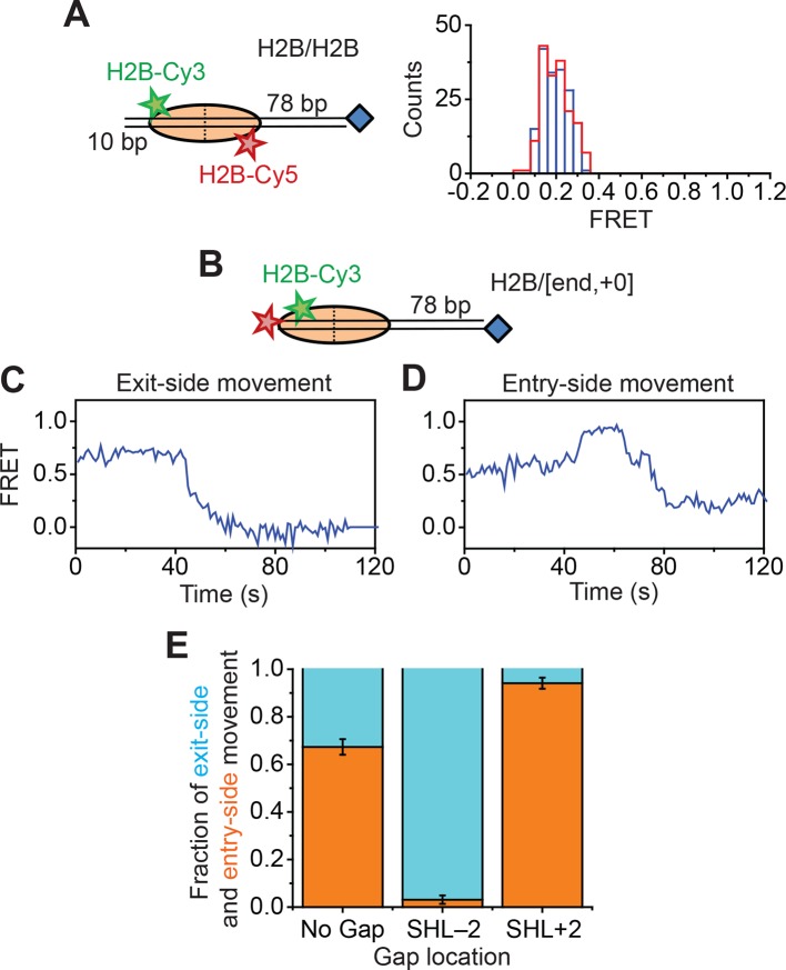 Figure 2—figure supplement 2.