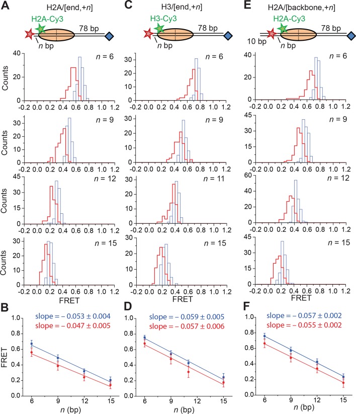 Figure 4—figure supplement 2.