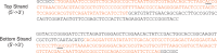 Figure 1—figure supplement 3.