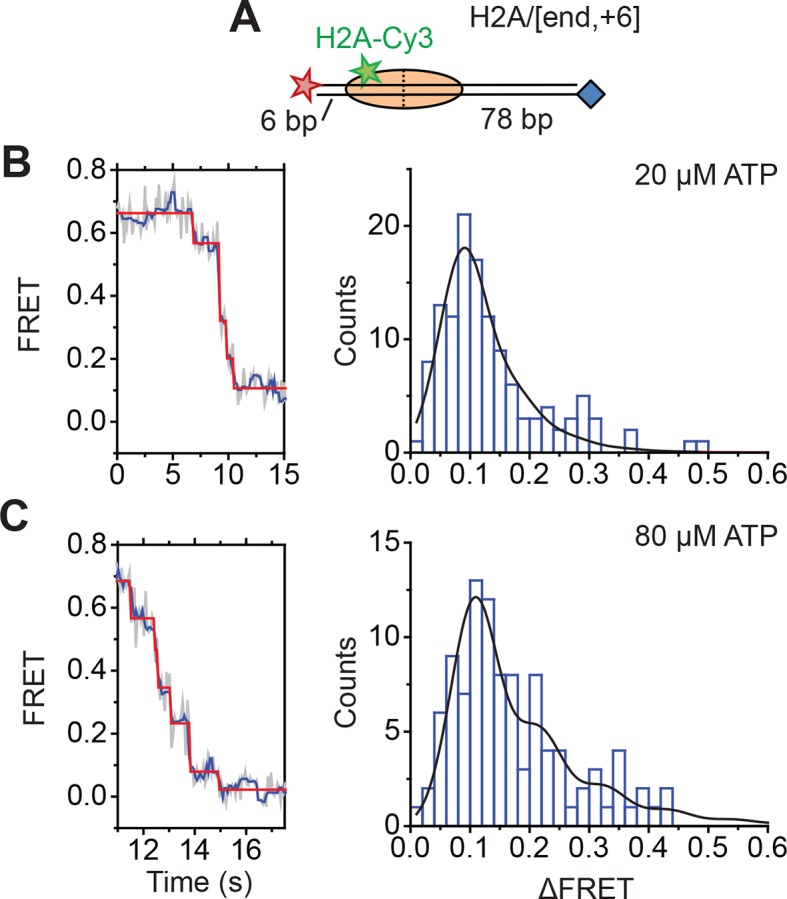 Figure 4—figure supplement 4.