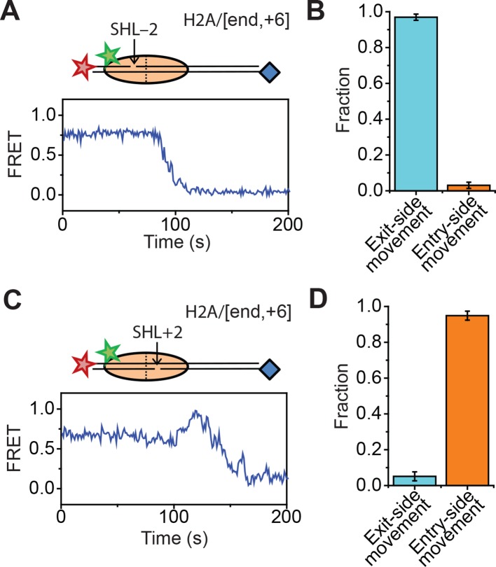 Figure 1—figure supplement 4.