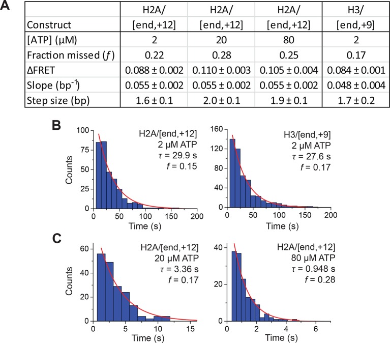 Figure 5—figure supplement 2.