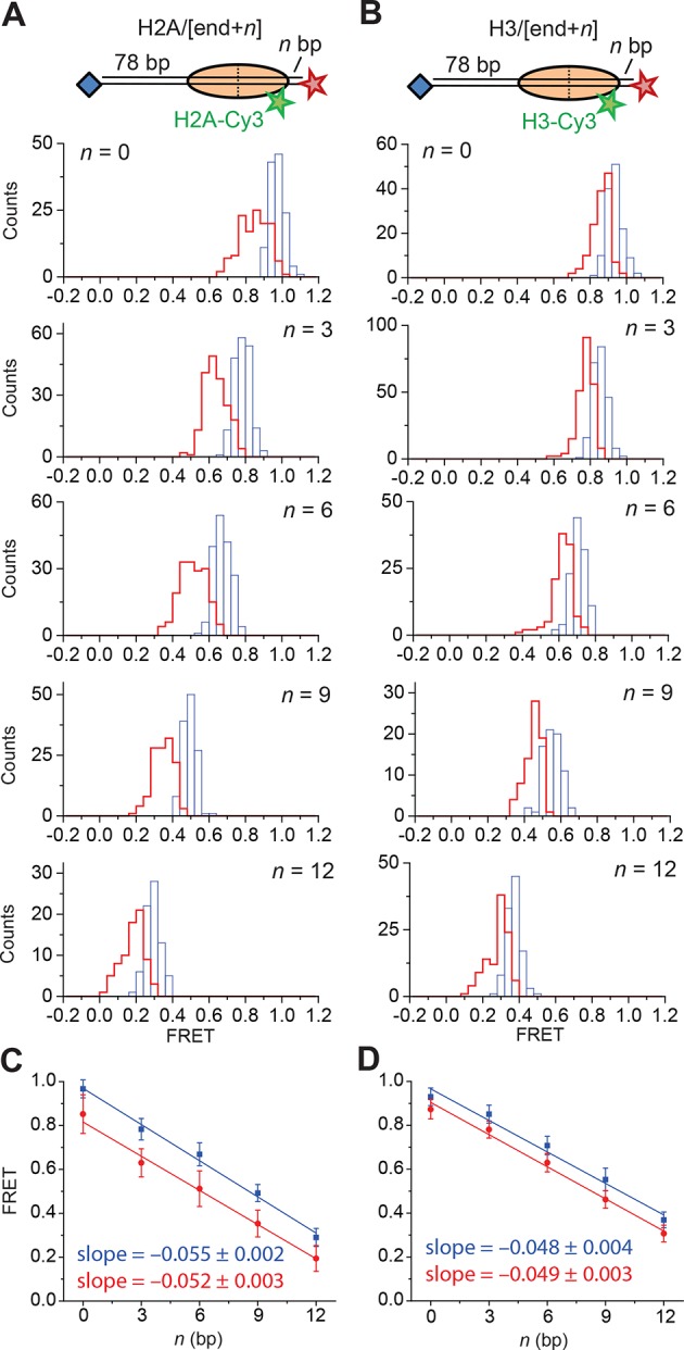 Figure 5—figure supplement 1.