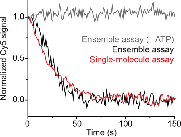 Figure 1—figure supplement 2.