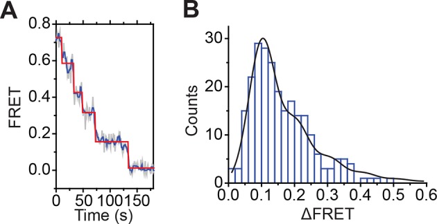 Figure 4—figure supplement 1.